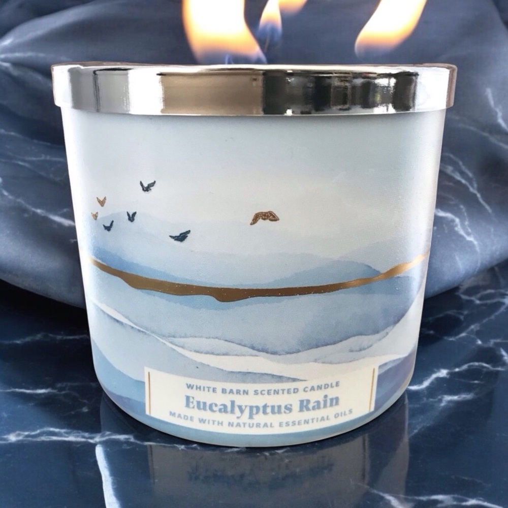 🆕40+ Hrs Eucalyptus Rain 3 Wick Candle